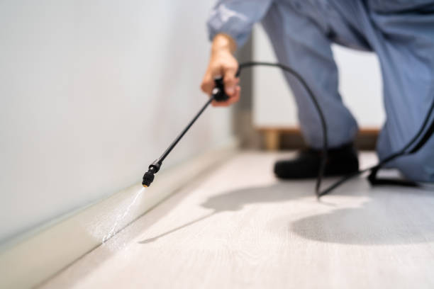 Licensed Ant Control service in Hemphill, TX - Show Me Pest Control