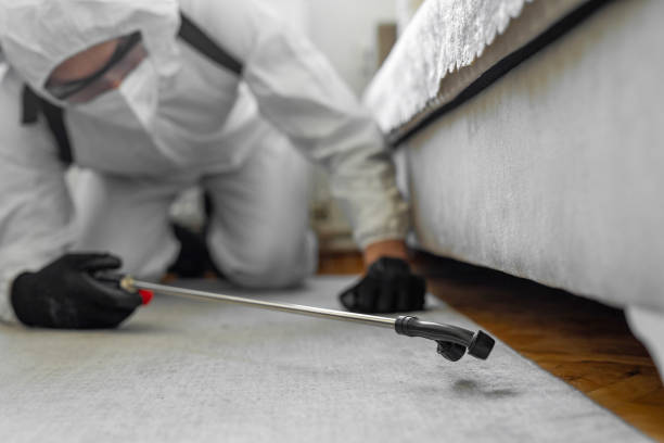 Professional Ant Control technician working in Hemphill, TX