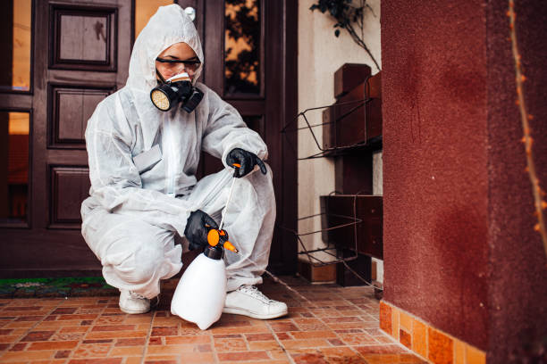 Reliable Ant Control contractor in Hemphill, TX by Show Me Pest Control